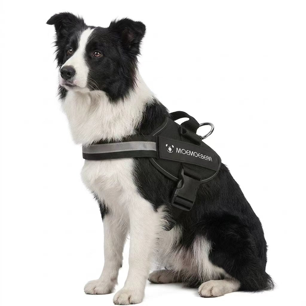 Outdoor Walking Harness