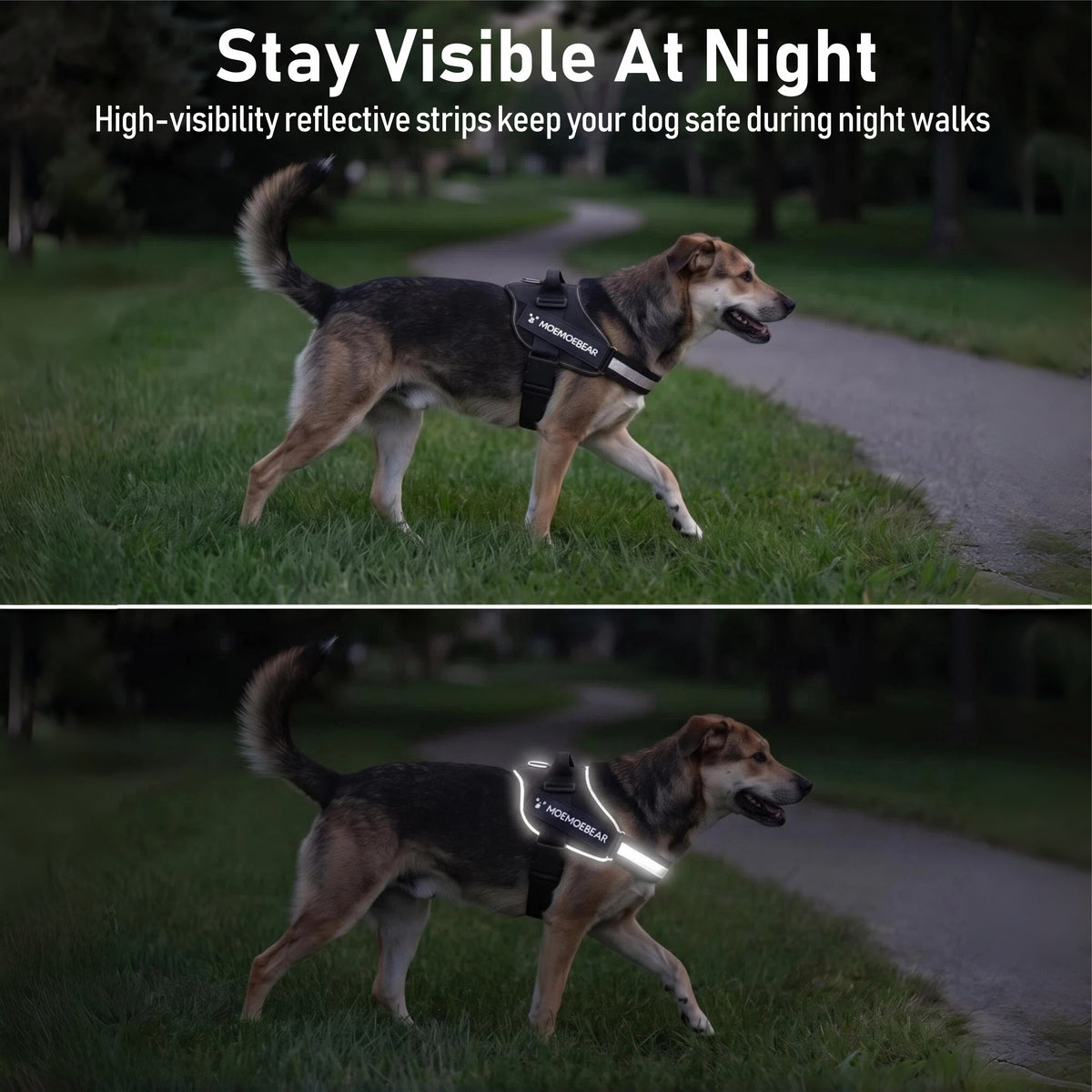 NIGHTTIME VISIBILITY