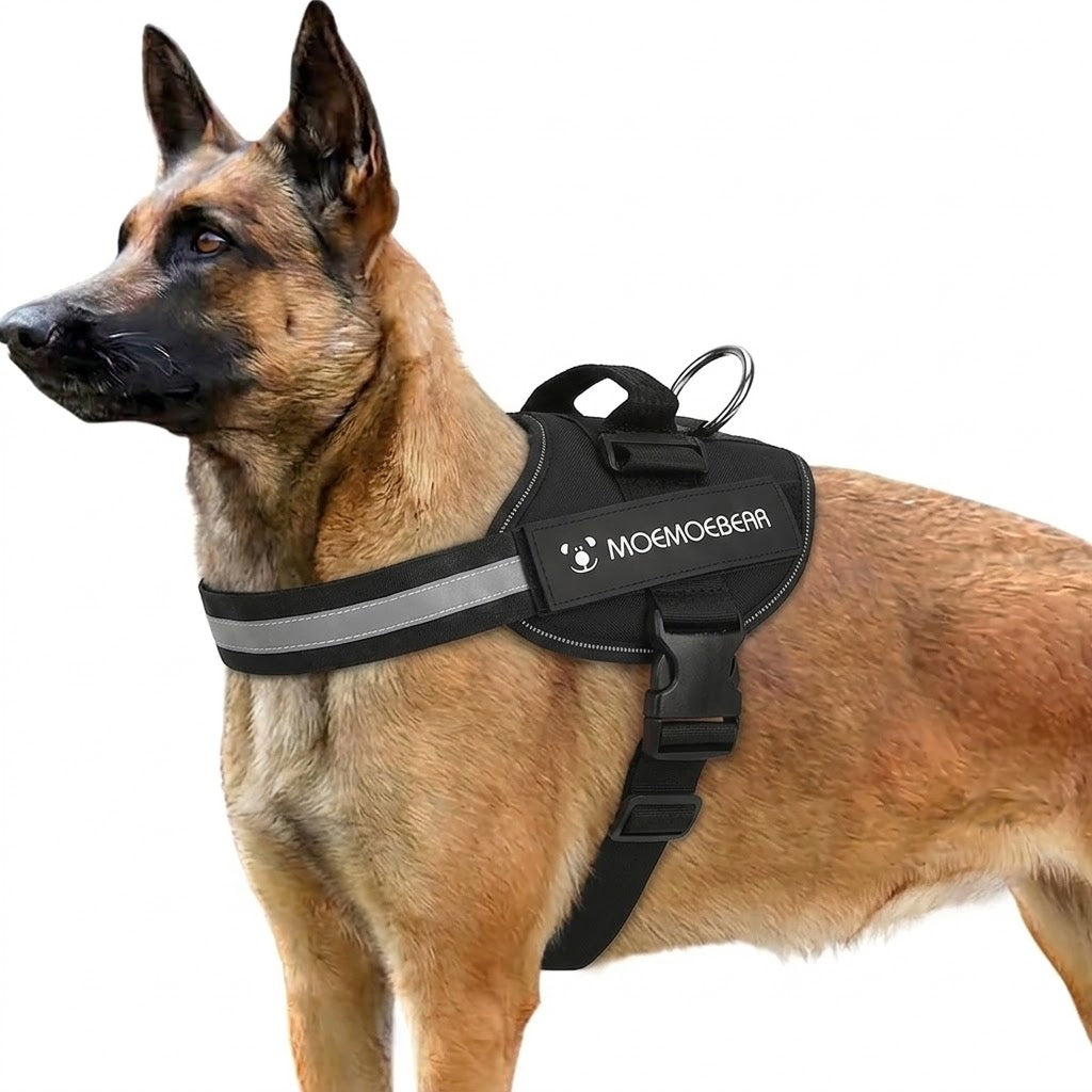 Outdoor Walking Harness