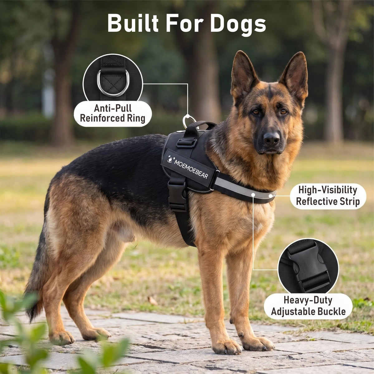 Outdoor Walking Harness