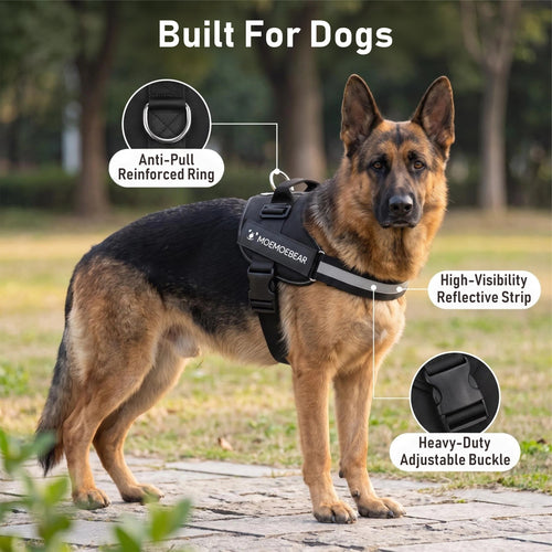 Outdoor Walking Harness