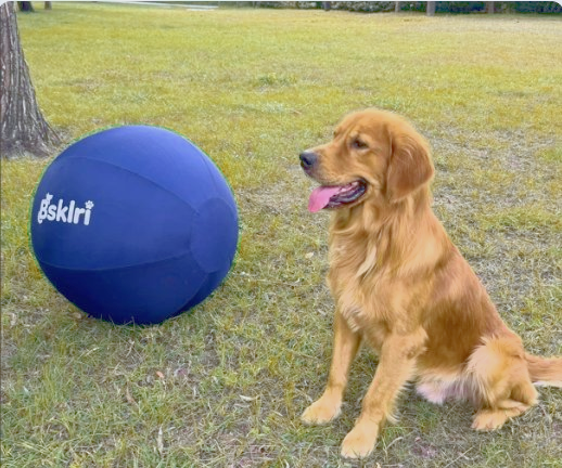 Pet toys
