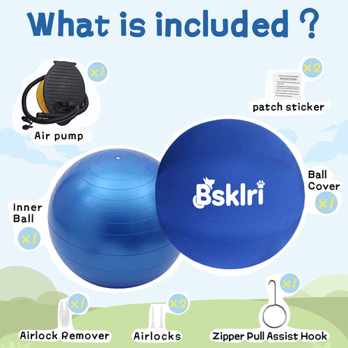 Herding ball package contents with pump and accessories