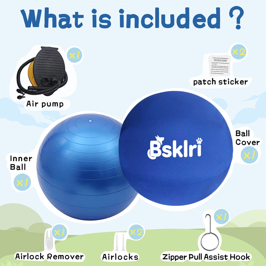 Herding ball package contents with pump and accessories